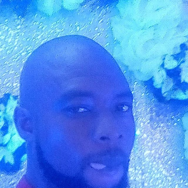 wizman001