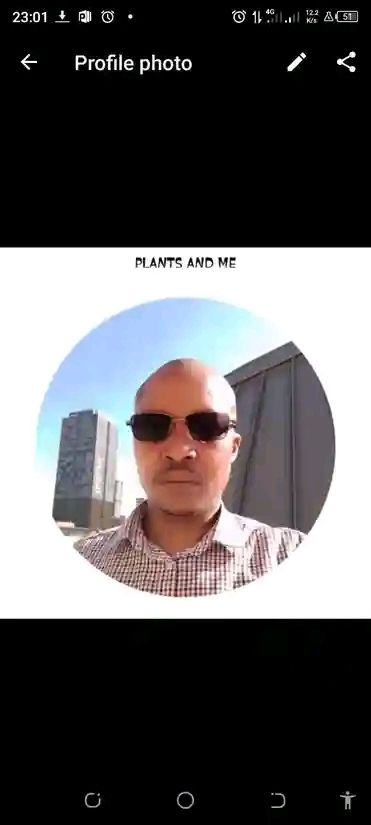 MoDev